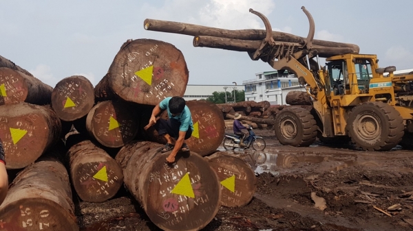Không bỏ lỏng thông tin về tính hợp pháp của gỗ nhập khẩu từ Châu Phi