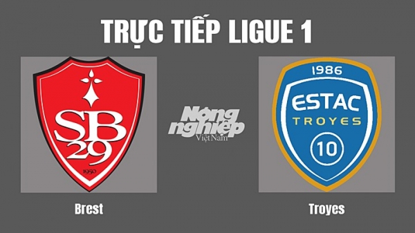 Trực tiếp Brest vs Troyes giải Ligue 1 trên On Sports News hôm nay 13/11