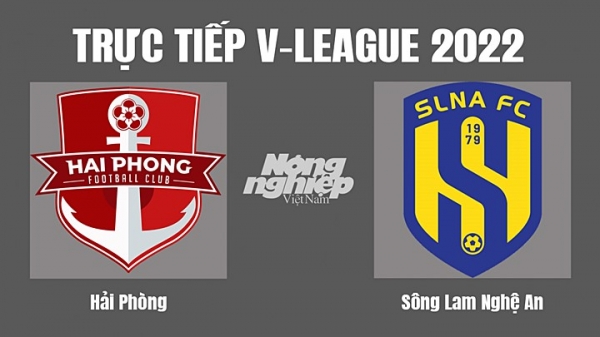 Trực tiếp Hải Phòng vs SLNA giải V-League 2022 trên VTV5 hôm nay 13/11
