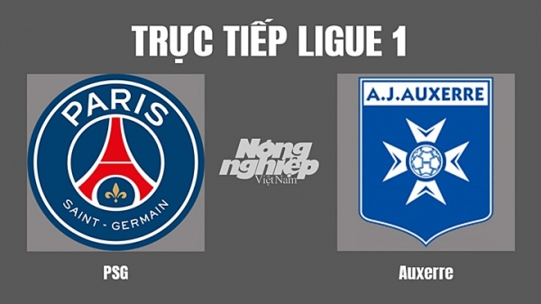 Trực tiếp PSG vs Auxerre giải Ligue 1 trên On Sports News hôm nay 13/11