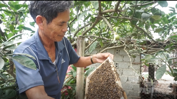 Xã Đa Lộc làm OCOP từ nghề nuôi ong rừng ngập mặn
