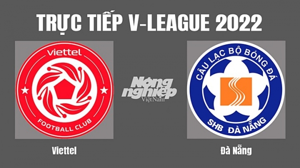 Trực tiếp Viettel vs Đà Nẵng giải V-League 2022 trên On Sports News hôm nay 19/11