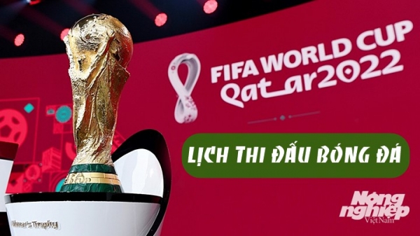 Chi tiết lịch thi đấu bóng đá World Cup 2022 tại Qatar