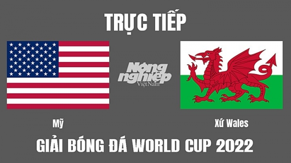 Trực tiếp Mỹ vs Xứ Wales giải World Cup 2022 trên VTV3 ngày 22/11