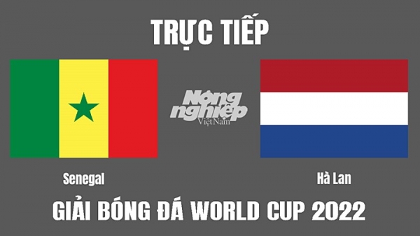 Trực tiếp Senegal vs Hà Lan giải World Cup 2022 trên VTV2 hôm nay 21/11