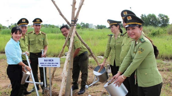 Trồng 15 triệu cây xanh, Kiên Giang quyết nâng độ che phủ rừng