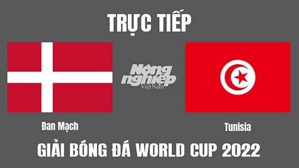 Trực tiếp Đan Mạch vs Tunisia giải World Cup 2022 trên VTV2 hôm nay 22/11
