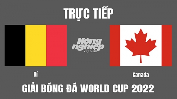 Trực tiếp Bỉ vs Canada trên VTV3 VTV Cần Thơ tại World Cup 2022 ngày 24/11
