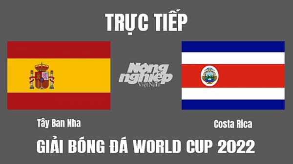Trực tiếp Tây Ban Nha vs Costa Rica trên VTV2 VTV Cần Thơ hôm nay 23/11