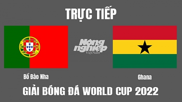 Trực tiếp Bồ Đào Nha vs Ghana trên VTV2, VTV Cần Thơ ngày 24/11