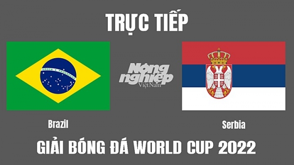 Trực tiếp Brazil vs Serbia trên VTV3 VTV Cần Thơ tại World Cup 2022 ngày 25/11