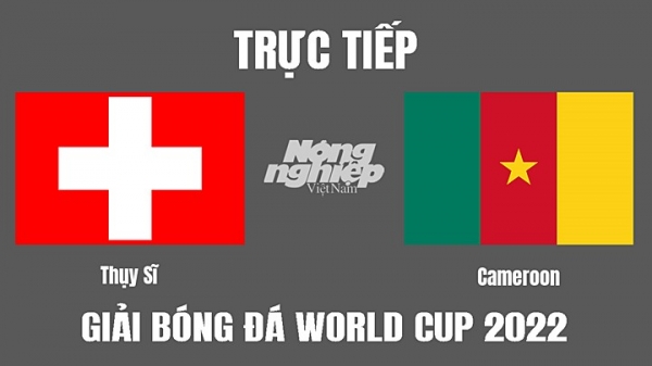 Trực tiếp Thụy Sĩ vs Cameroon trên VTV5, VTV5 TNB hôm nay 24/11
