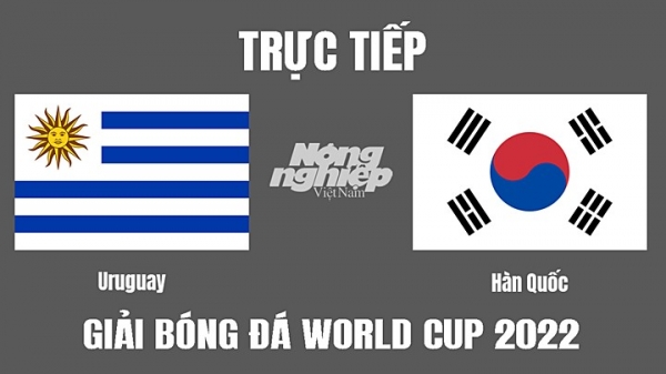 Trực tiếp Uruguay vs Hàn Quốc trên VTV2 VTV Cần Thơ hôm nay 24/11