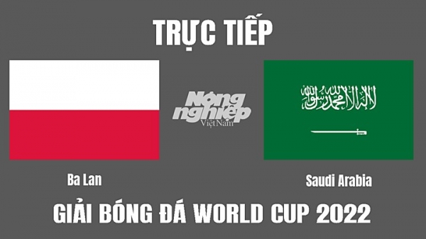 Trực tiếp Ba Lan vs Ả Rập Saudi trên VTV2, VTV Cần Thơ hôm nay 26/11