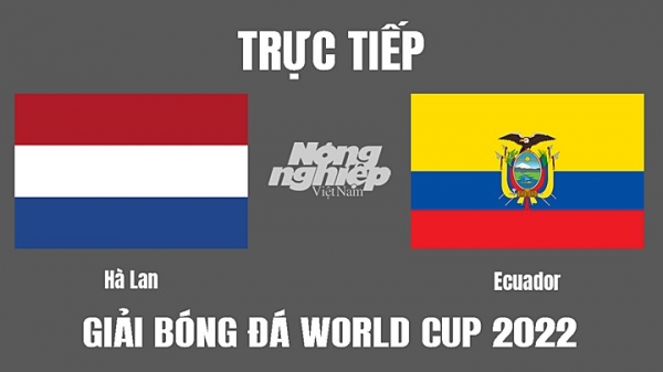 Trực tiếp Hà Lan vs Ecuador trên VTV2, VTV Cần Thơ tại World Cup 2022