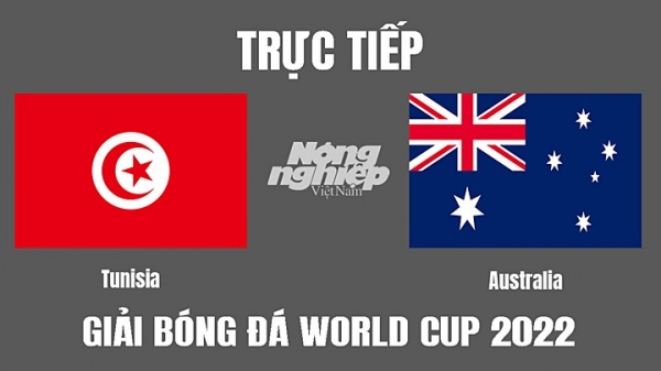 Trực tiếp Tunisia vs Úc trên VTV5, VTV5 TNB tại World Cup 2022 hôm nay 26/11