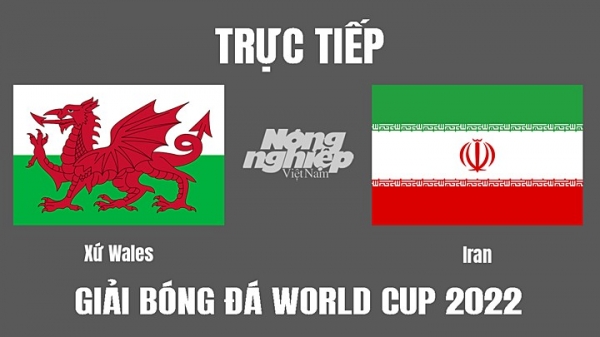 Trực tiếp Xứ Wales vs Iran trên VTV5 tại World Cup 2022 hôm nay 25/11