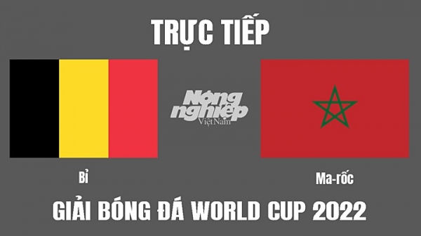 Trực tiếp Bỉ vs Morocco trên VTV2, VTV Cần Thơ hôm nay 27/11