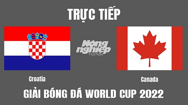 Trực tiếp Croatia vs Canada trên VTV2, VTV Cần Thơ hôm nay 27/11