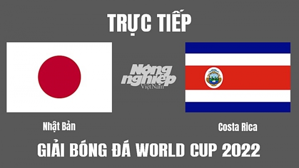 Trực tiếp Nhật Bản vs Costa Rica trên VTV5, VTV5 TNB hôm nay 27/11