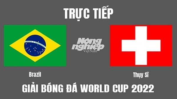 Trực tiếp Brazil vs Thụy Sĩ trên VTV2, VTV Cần Thơ hôm nay 28/11