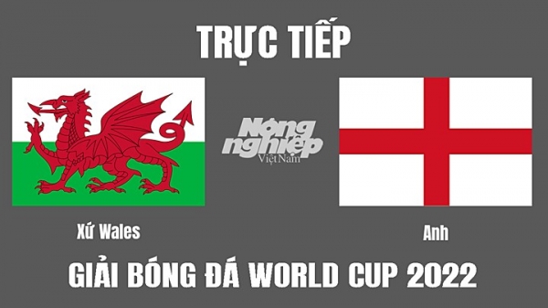 Trực tiếp Xứ Wales vs Anh trên VTV3, VTV Cần Thơ ngày 30/11