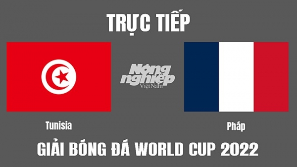 Trực tiếp Tunisia vs Pháp trên VTV2 tại World Cup 2022 hôm nay 30/11