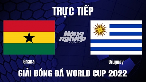 Trực tiếp Ghana vs Uruguay trên VTV5 hôm nay 2/12
