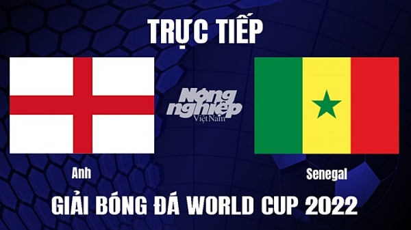 Trực tiếp Anh vs Senegal trên VTV3, VTV Cần Thơ ngày 5/12
