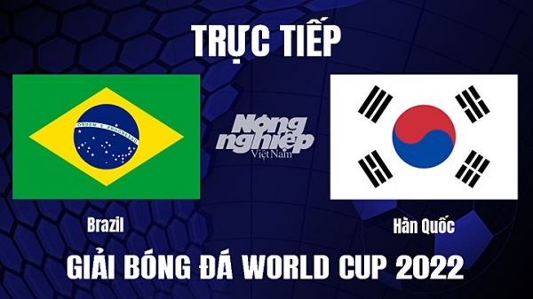 Trực tiếp Brazil vs Hàn Quốc trên VTV3, VTV Cần Thơ ngày 6/12