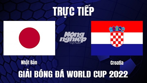 Trực tiếp Nhật Bản vs Croatia trên VTV2, VTV Cần Thơ hôm nay 5/12