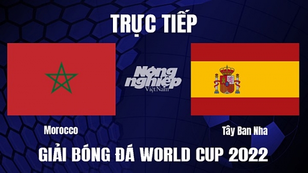 Trực tiếp Morocco vs Tây Ban Nha trên VTV2, VTV Cần Thơ hôm nay 6/12