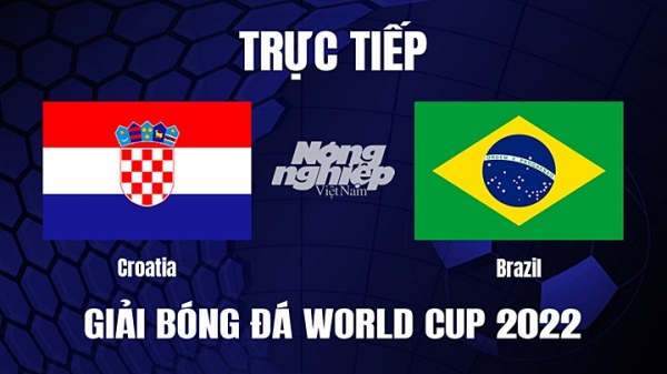 Trực tiếp Croatia vs Brazil trên VTV2, VTV Cần Thơ hôm nay 9/12