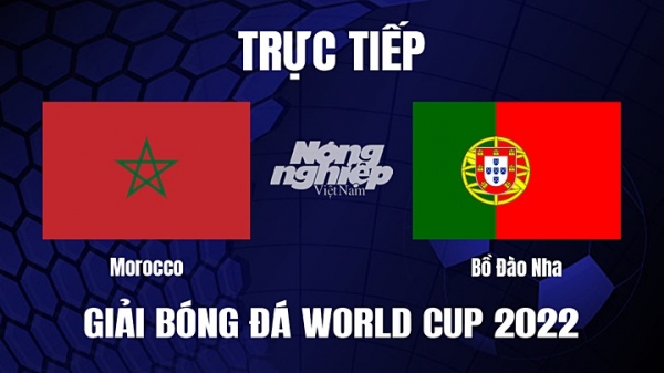 Trực tiếp Morocco vs Bồ Đào Nha trên VTV2, VTV Cần Thơ hôm nay 10/12