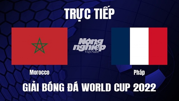 Trực tiếp Pháp vs Morocco trên VTV3, VTV Cần Thơ ngày 15/12