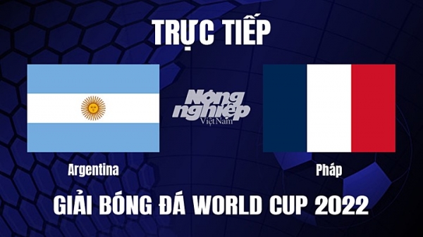 Trực tiếp Argentina vs Pháp trên VTV2, VTV Cần Thơ hôm nay 18/12