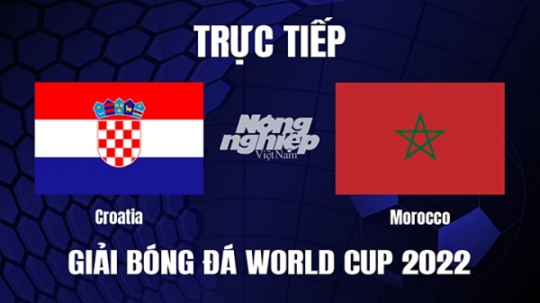 Trực tiếp Croatia vs Morocco trên VTV2, VTV Cần Thơ hôm nay 17/12