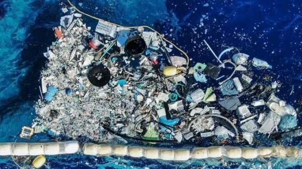 Chung tay giảm thiểu rác thải, góp phần bảo tồn đa dạng sinh học biển