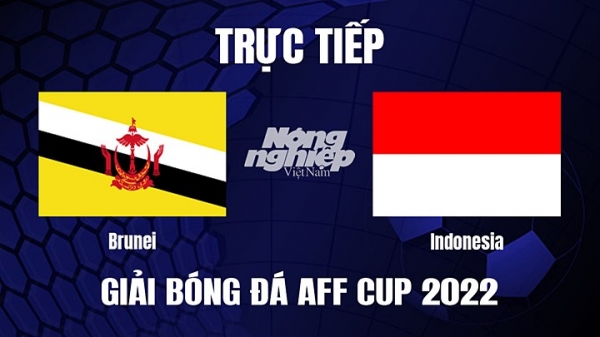 Trực tiếp Brunei vs Indonesia trên VTV5 hôm nay 26/12