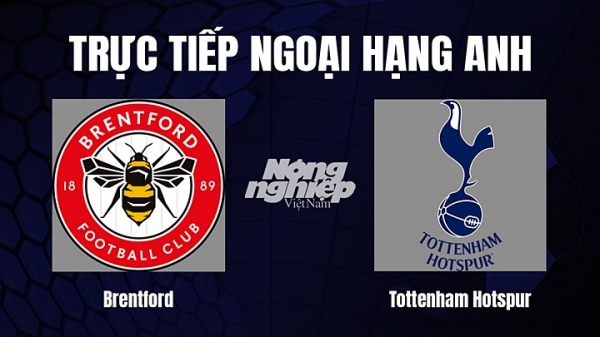 Trực tiếp Brentford vs Tottenham trên K+ SPORT 1 giải Ngoại hạng Anh hôm nay 26/12