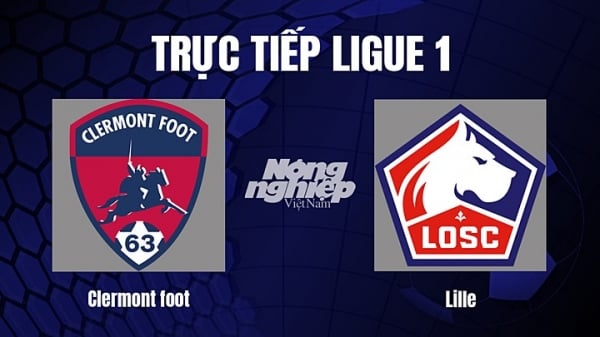 Trực tiếp Clermont vs Lille trên On Sports News giải Ligue 1 ngày 29/12