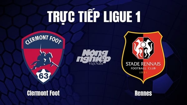 Trực tiếp Clermont vs Rennes trên On Football giải Ligue 1 hôm nay 12/1