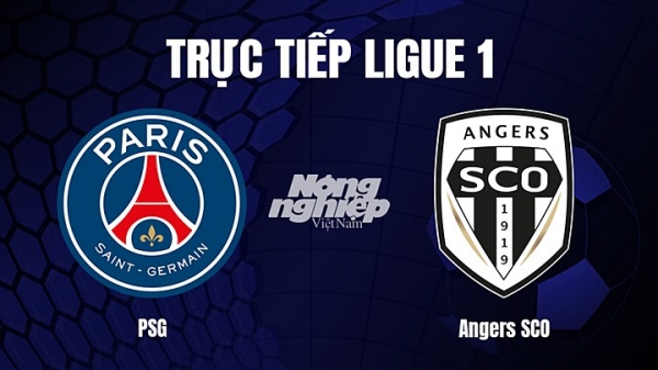 Trực tiếp PSG vs Angers SCO trên On Sports News giải Ligue 1 hôm nay 12/1