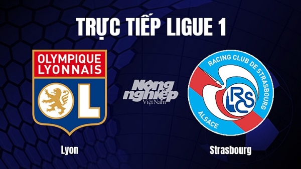 Trực tiếp Lyon vs Strasbourg trên On Sports News giải Ligue 1 hôm nay 15/1