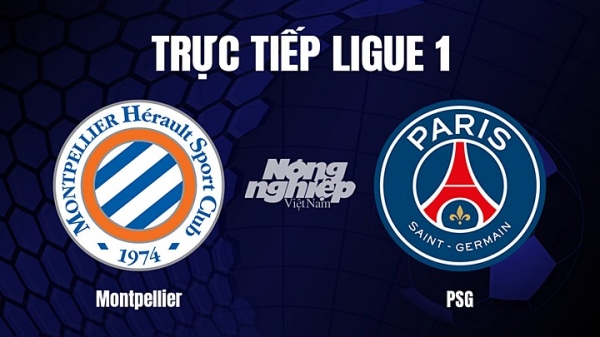 Trực tiếp Montpellier vs PSG trên On Sports News giải Ligue 1 hôm nay 2/2