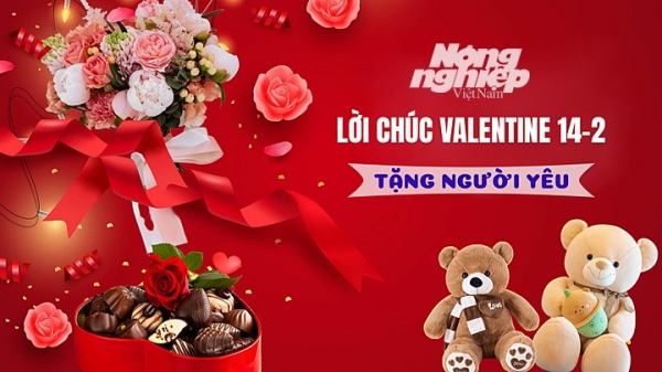 Lời chúc Valentine 2023 hay và ý nghĩa dành tặng người yêu