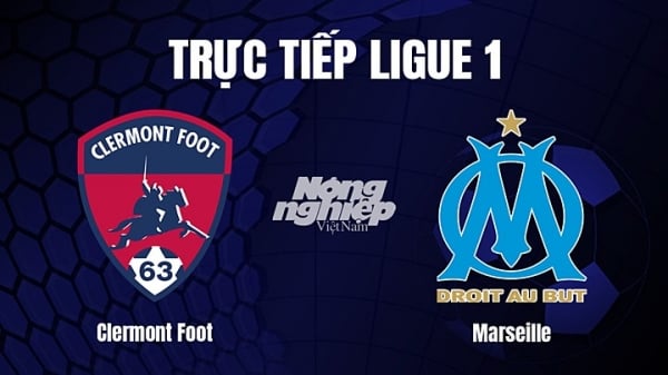 Trực tiếp Clermont vs Marseille trên On Sports News giải Ligue 1 hôm nay 12/2