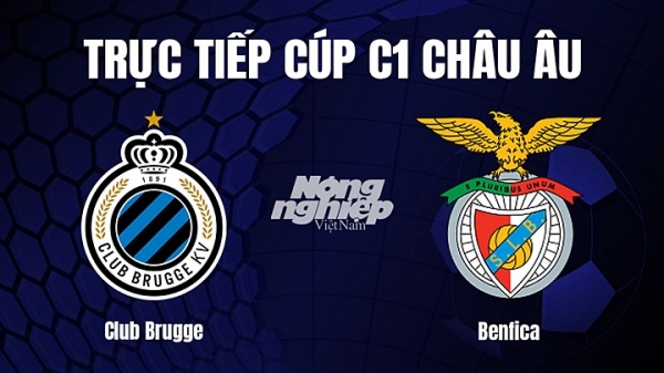 Trực tiếp Club Brugge vs Benfica trên FPTPlay giải Cúp C1 Châu Âu hôm nay 16/2