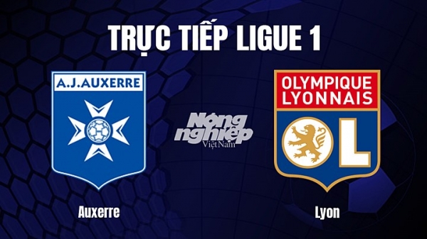 Trực tiếp Auxerre vs Lyon trên On Sports giải Ligue 1 hôm nay 18/2