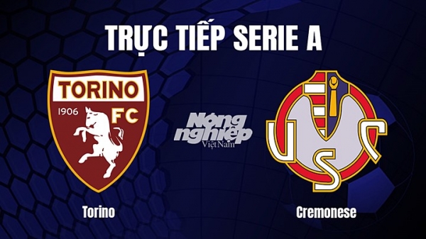 Trực tiếp Torino vs Cremonese trên On Sports+ giải Serie A hôm nay 21/2